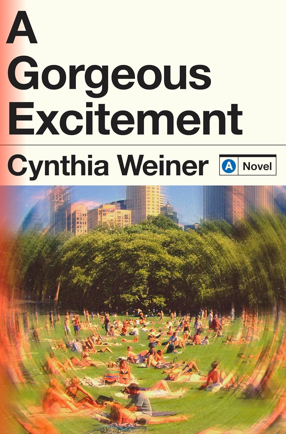 Cover of "A Gorgeous Excitement: A Novel"