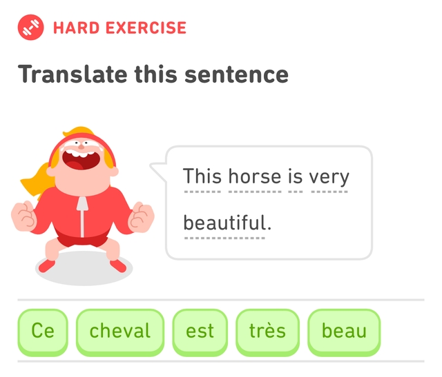 Screenshot of a Duolingo French lesson. It's asking to translate the English sentence, This horse is very beautiful, to French. I successfully translated it to Che cheval est tres beau.
