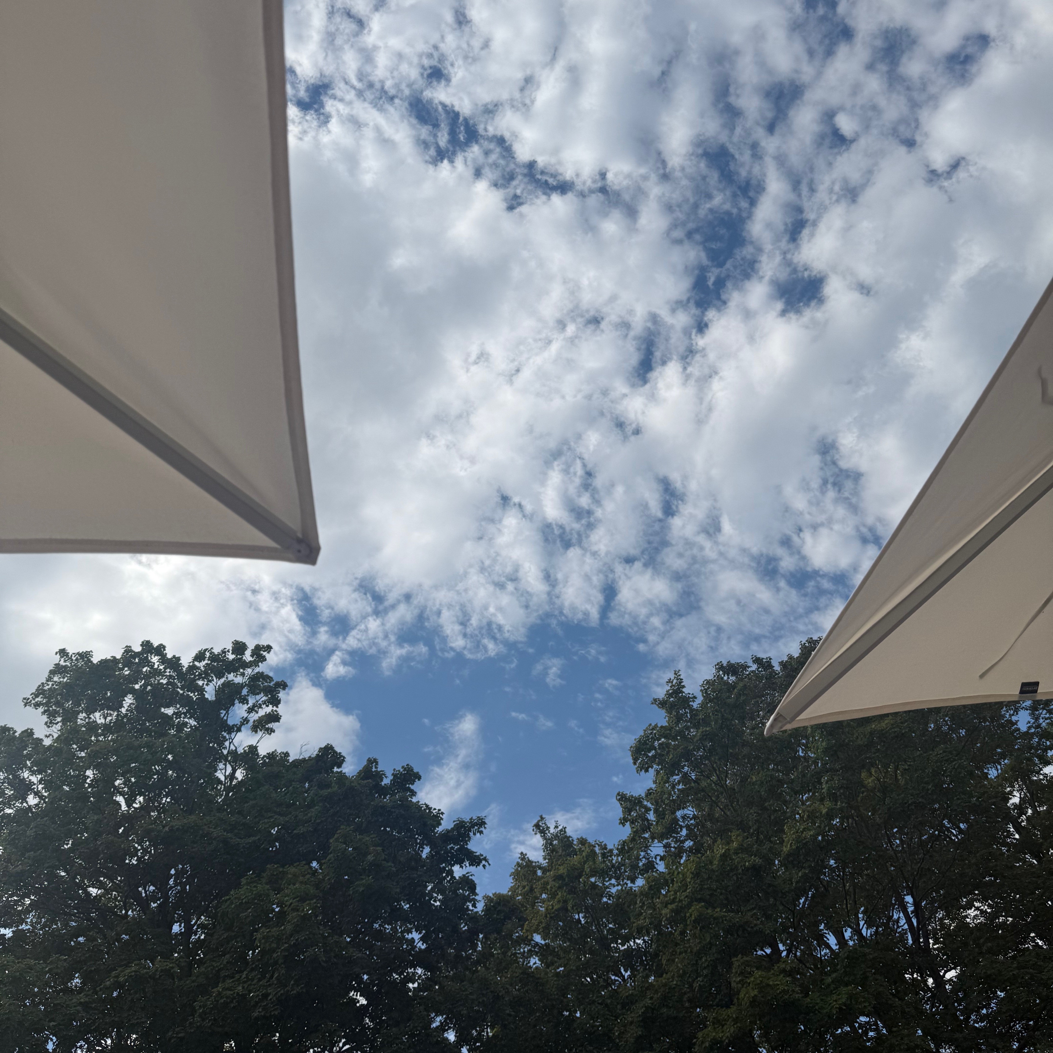 View of a partly cloudy sky framed by two large white umbrellas at the edges, with the tops of leafy green trees below.