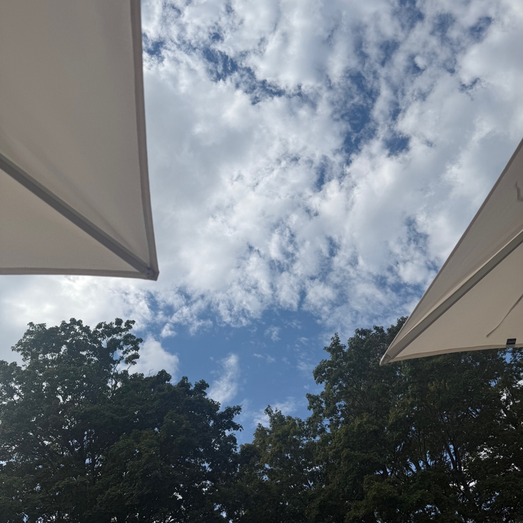 View of a partly cloudy sky framed by two large white umbrellas at the edges, with the tops of leafy green trees below.