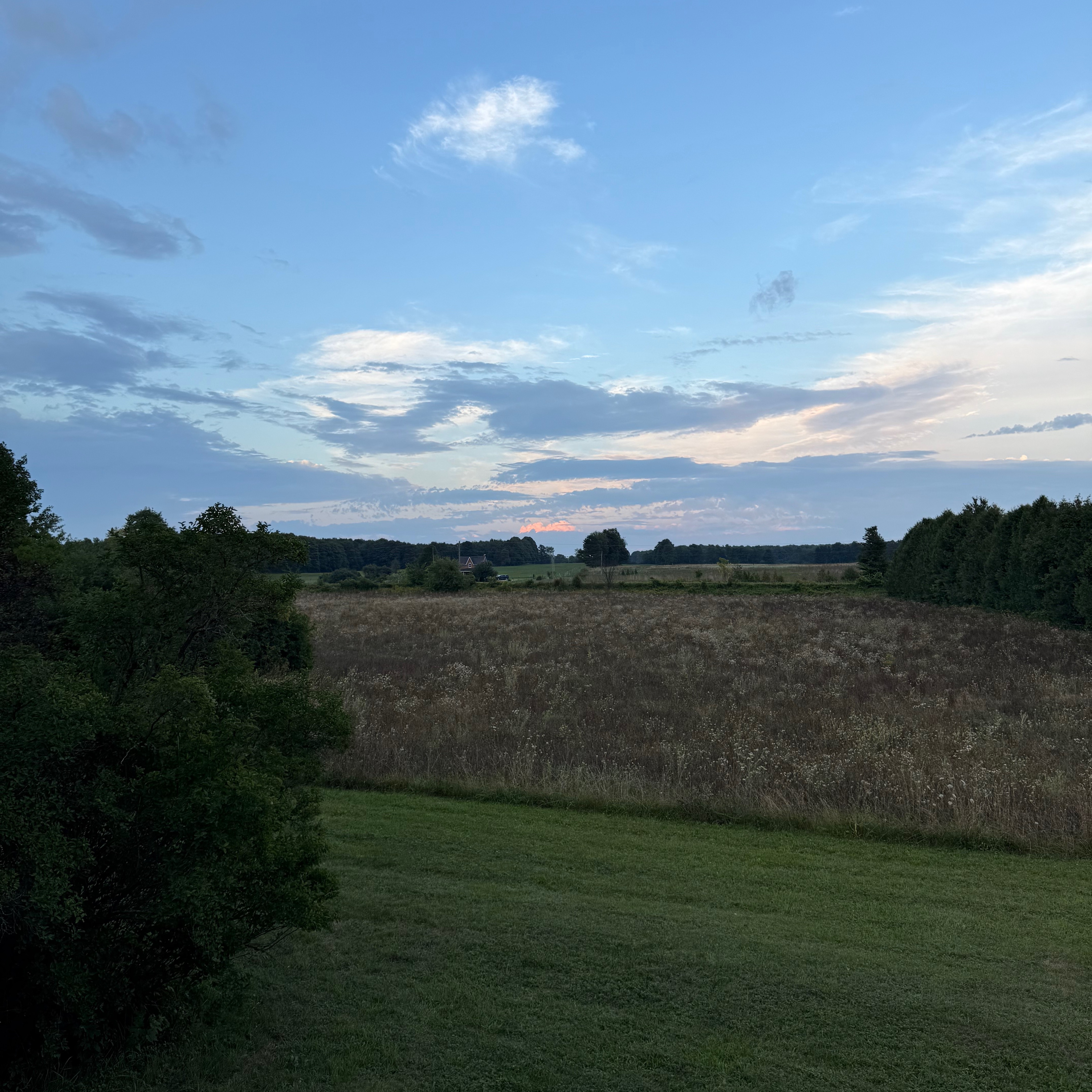 Wide view of an open field at dusk, with tall grasses in the foreground, tree lines at the edges, and a sky streaked with soft clouds glowing pink and blue.