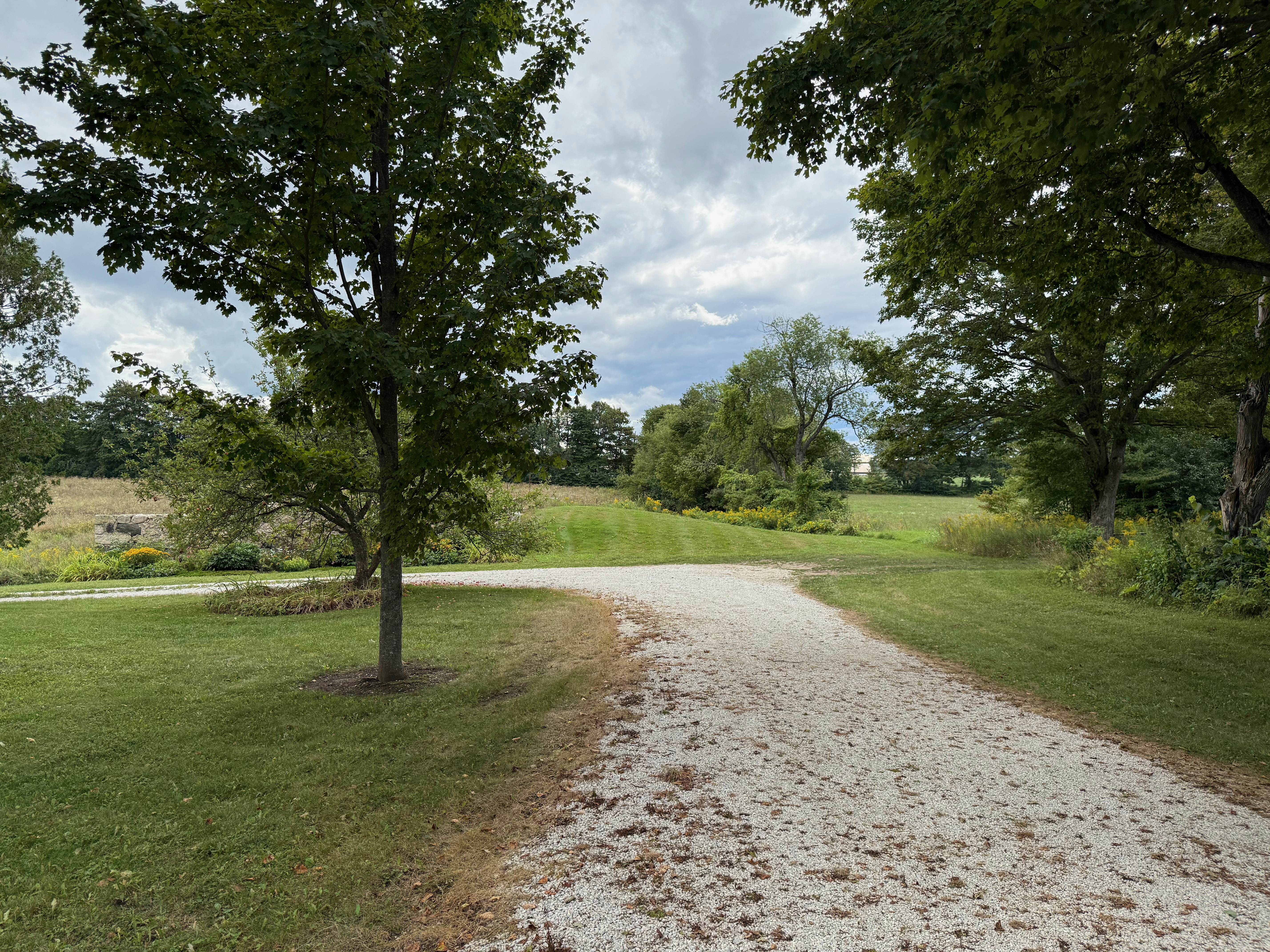 Curving gravel driveway bordered by green grass and tall trees, leading out toward an open field under a cloudy sky.