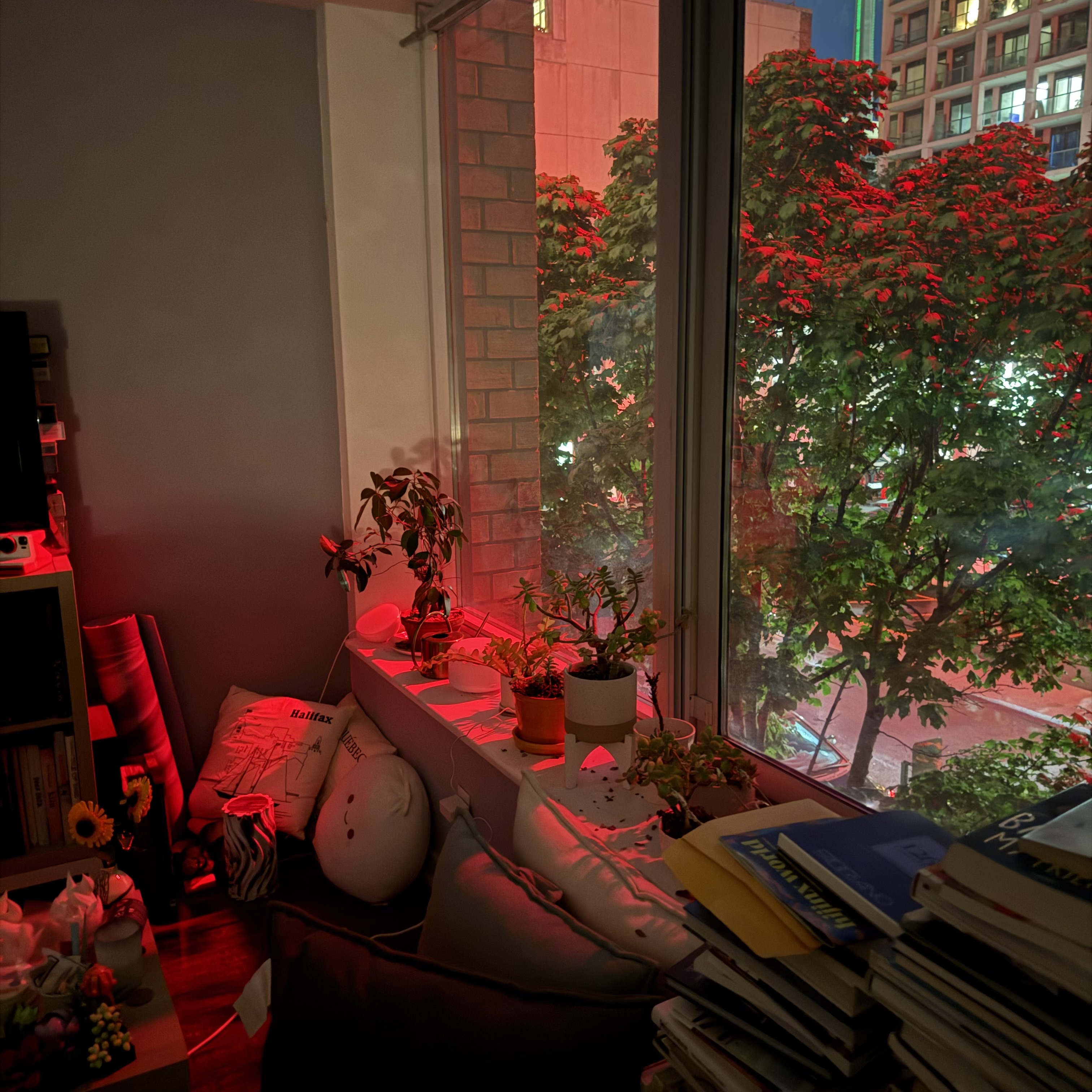 A cozy apartment corner with potted plants lined along a window ledge, glowing under a dramatic red streetlight outside. The window looks out onto leafy trees bathed in vivid red light, with city buildings in the background. Inside, books and papers are stacked on a desk, pillows and plush toys rest on the couch, and the whole scene feels warm, cluttered, and intimate against the surreal red glow.