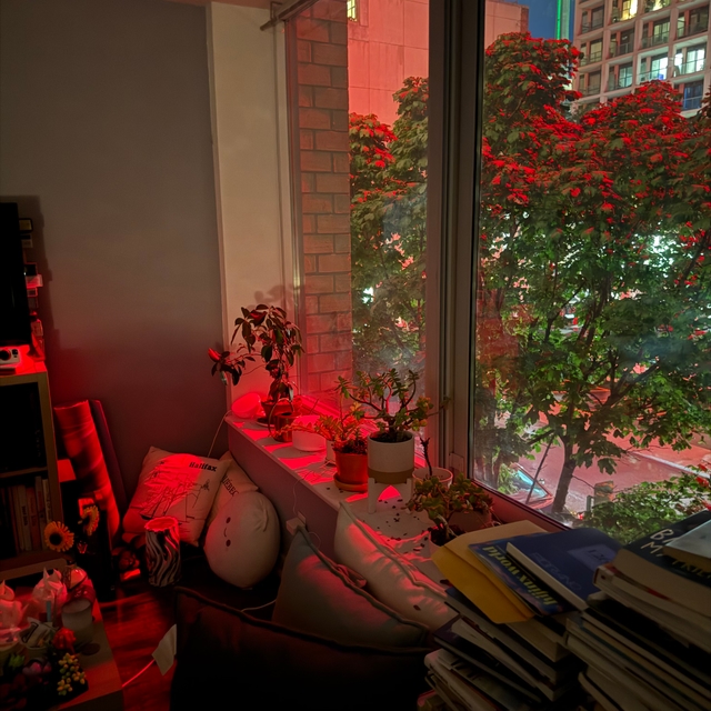 A cozy apartment corner with potted plants lined along a window ledge, glowing under a dramatic red streetlight outside. The window looks out onto leafy trees bathed in vivid red light, with city buildings in the background. Inside, books and papers are stacked on a desk, pillows and plush toys rest on the couch, and the whole scene feels warm, cluttered, and intimate against the surreal red glow.