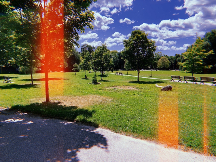 Toronto park in the summer time.