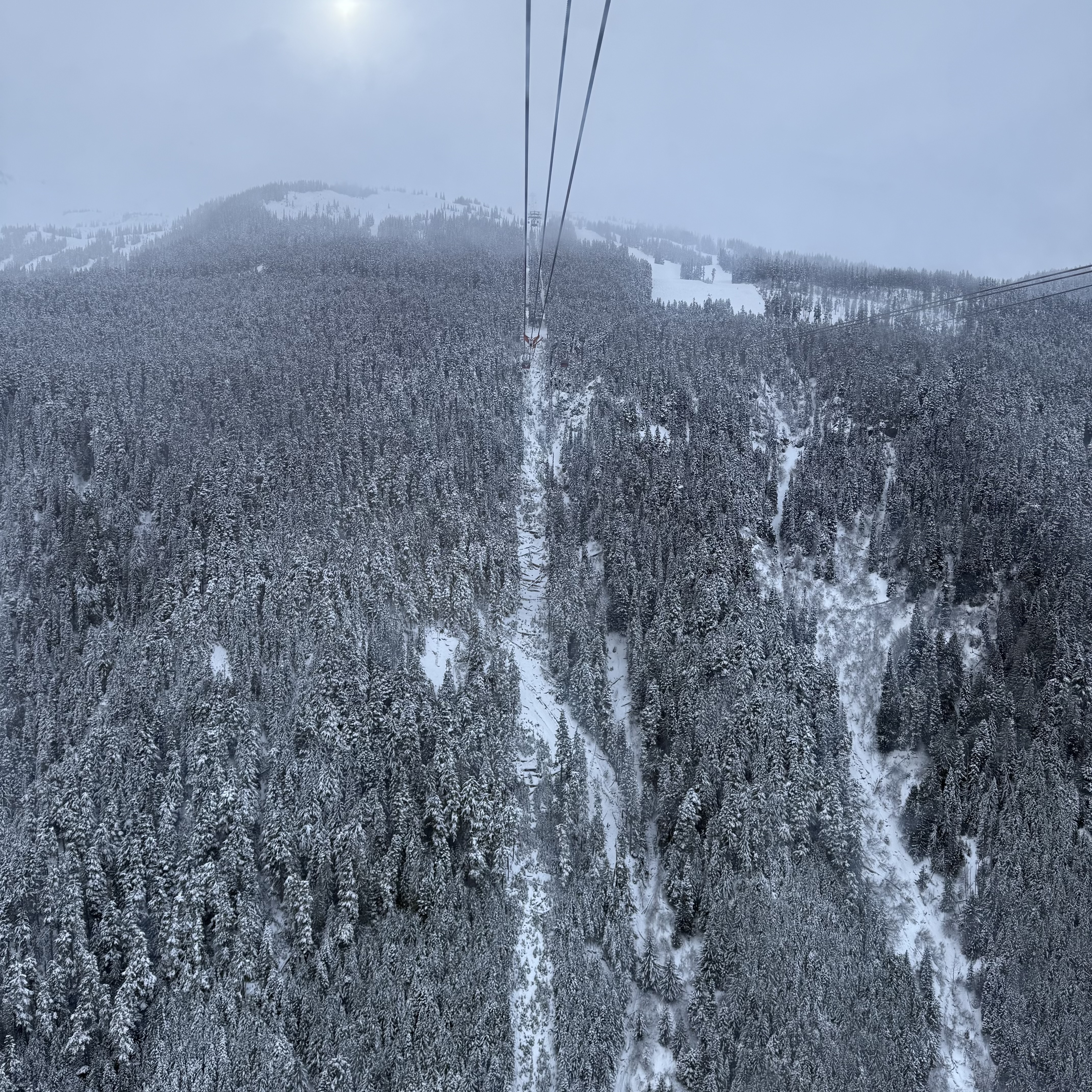 View looking straight down from a gondola over a dense, snow-covered forest. The gondola cables extend ahead into misty fog, with a faint sun barely visible through the white-grey sky above.