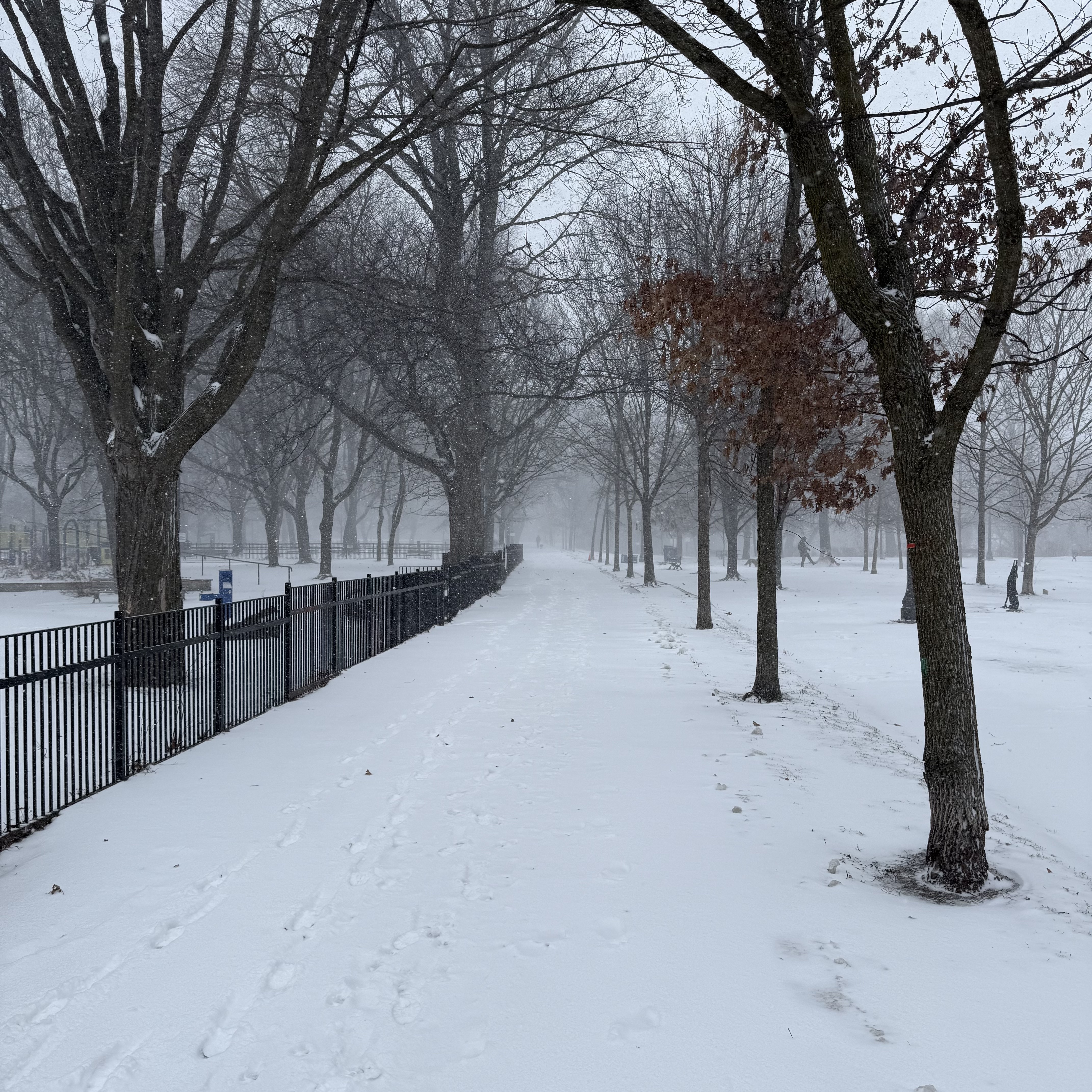 Snow-covered park path lined with bare trees and a black iron fence, footprints fading into blowing snow.