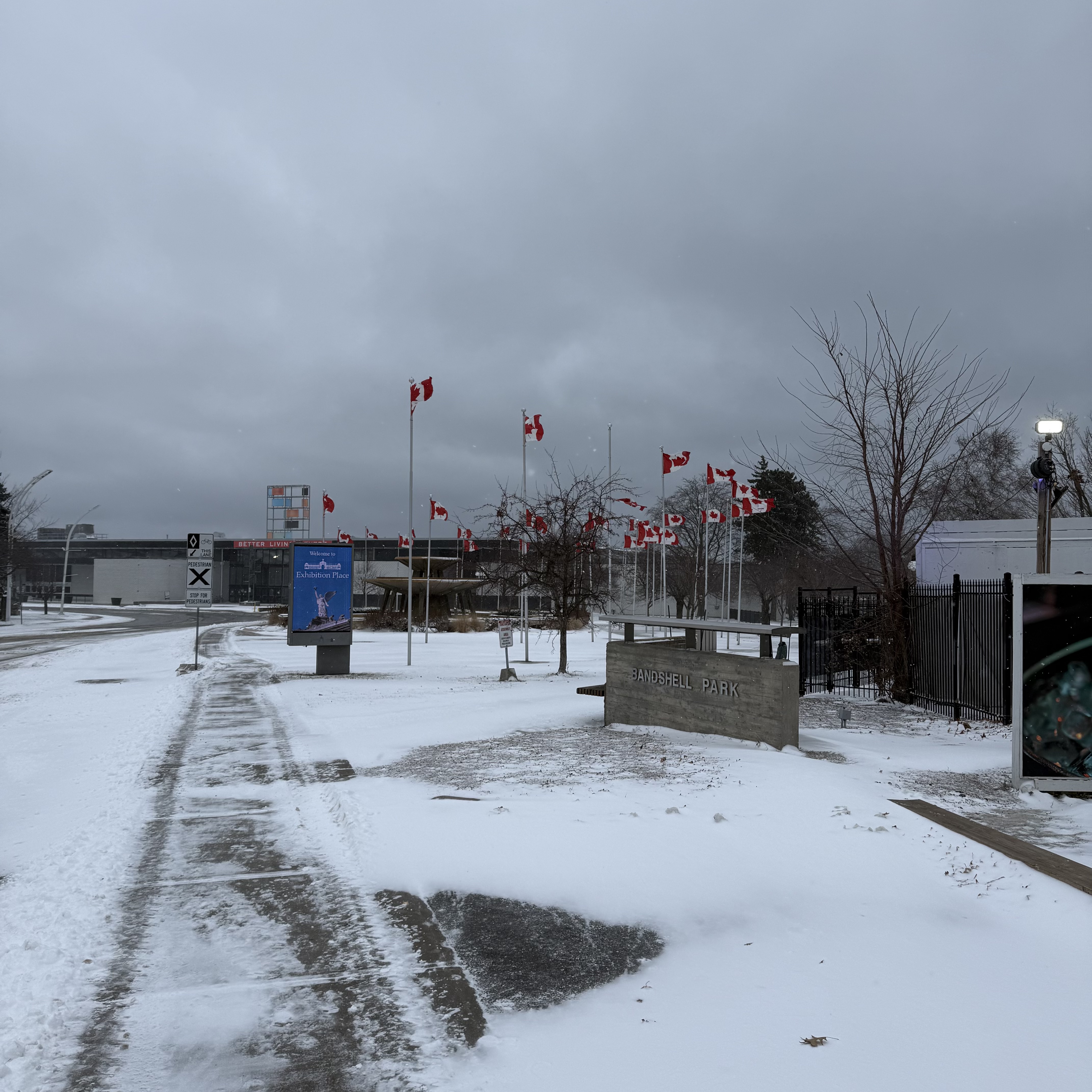 A snowy sidewalk at Bandshell Park with rows of Canadian flags whipping in the wind under dark grey clouds.
