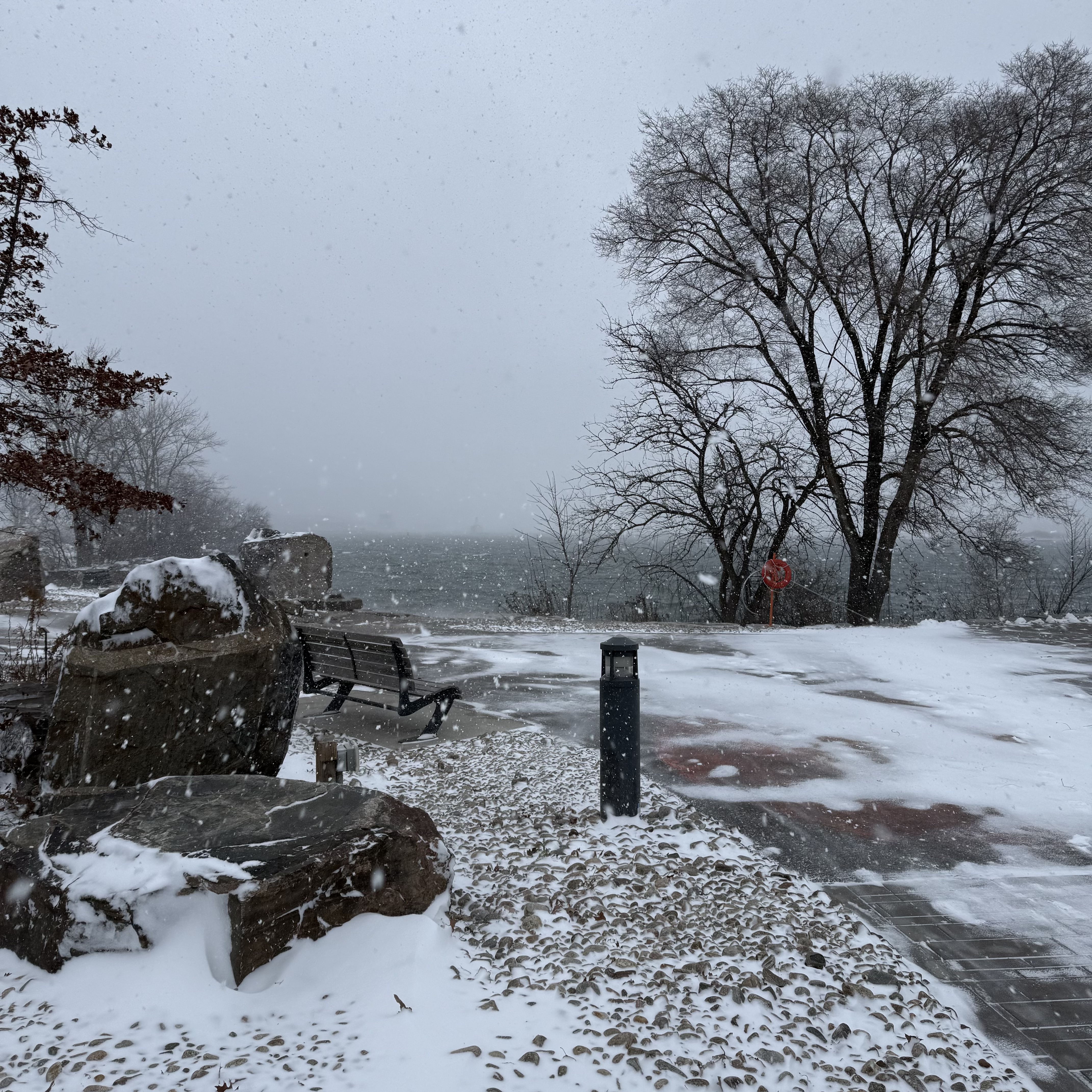 Snow-covered rocks and a bench beside the lake, with a large bare tree and a red lifebuoy ring near the shore.