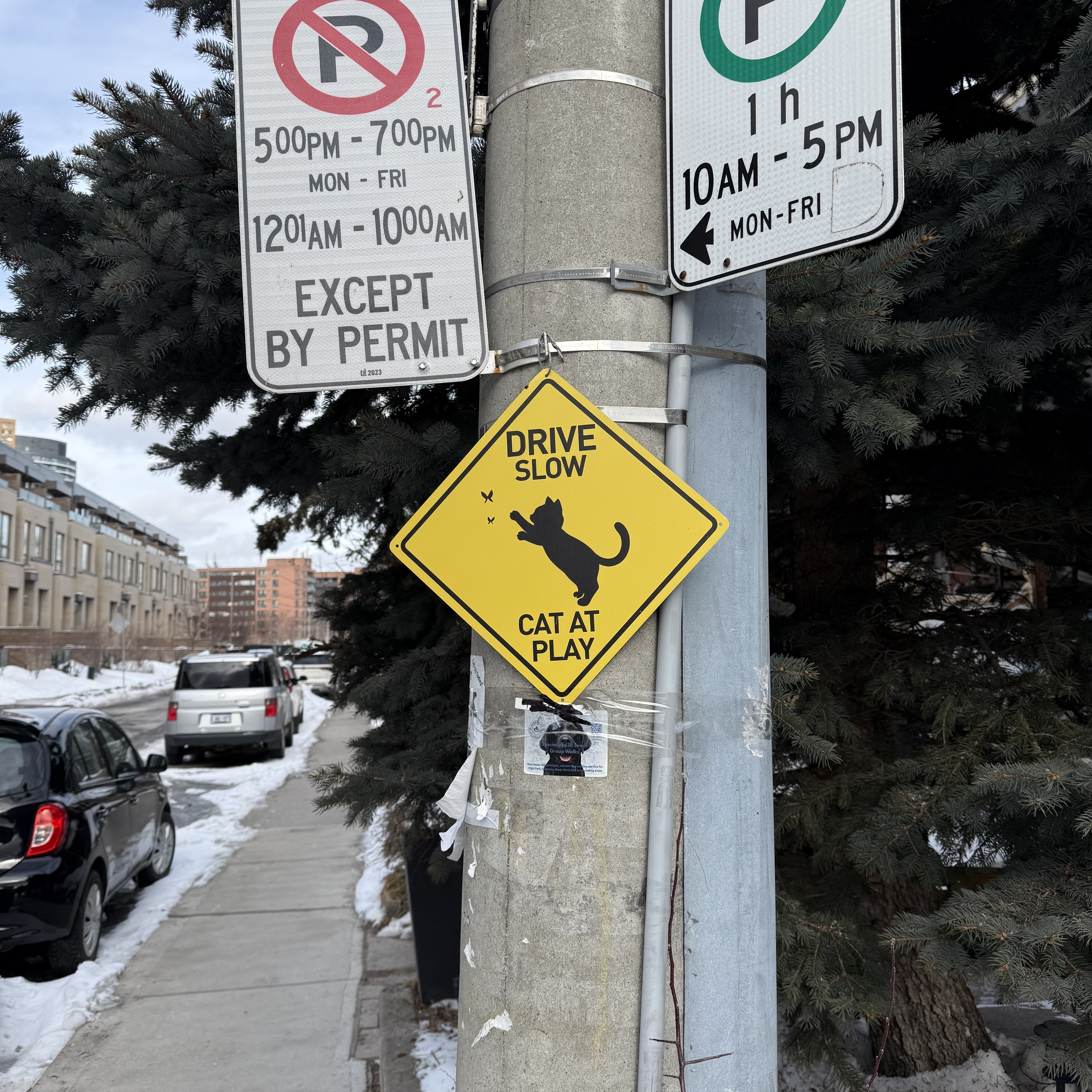 A yellow diamond-shaped caution sign reading "Drive Slow — Cat at Play" with a silhouette of a cat batting at butterflies, attached to a street pole alongside parking signs. Snow dusts the sidewalk in the background.