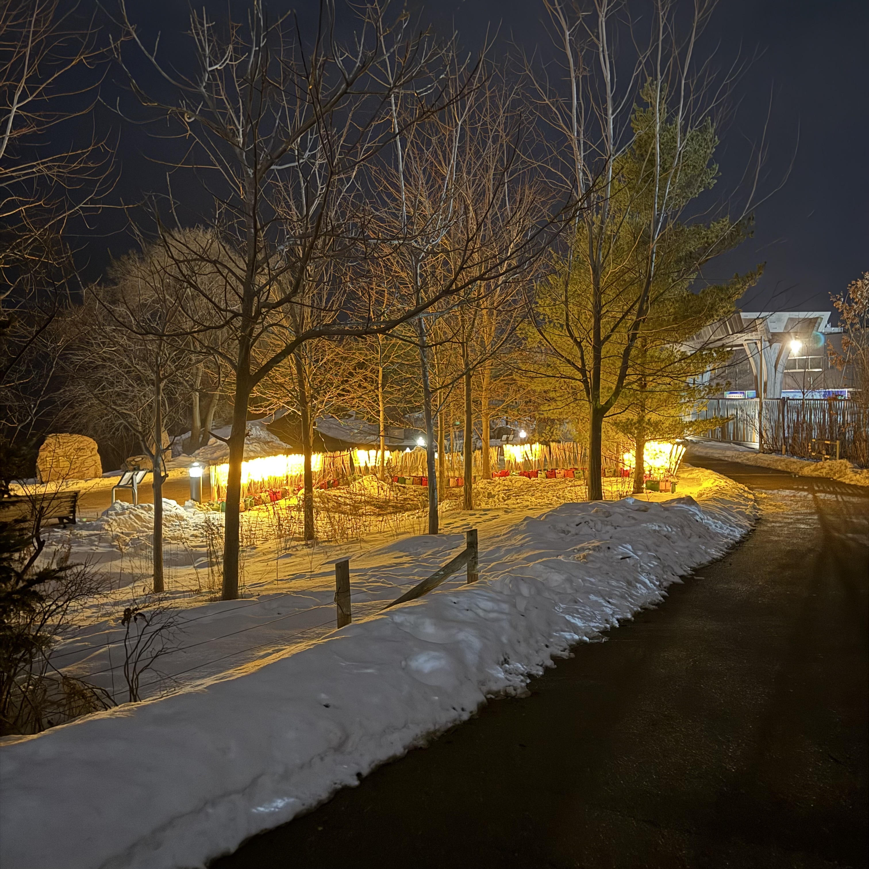 Snow-covered trees and a curving asphalt path frame an installation of bright golden lights below, casting a warm glow across Trillium Park on a winter night.