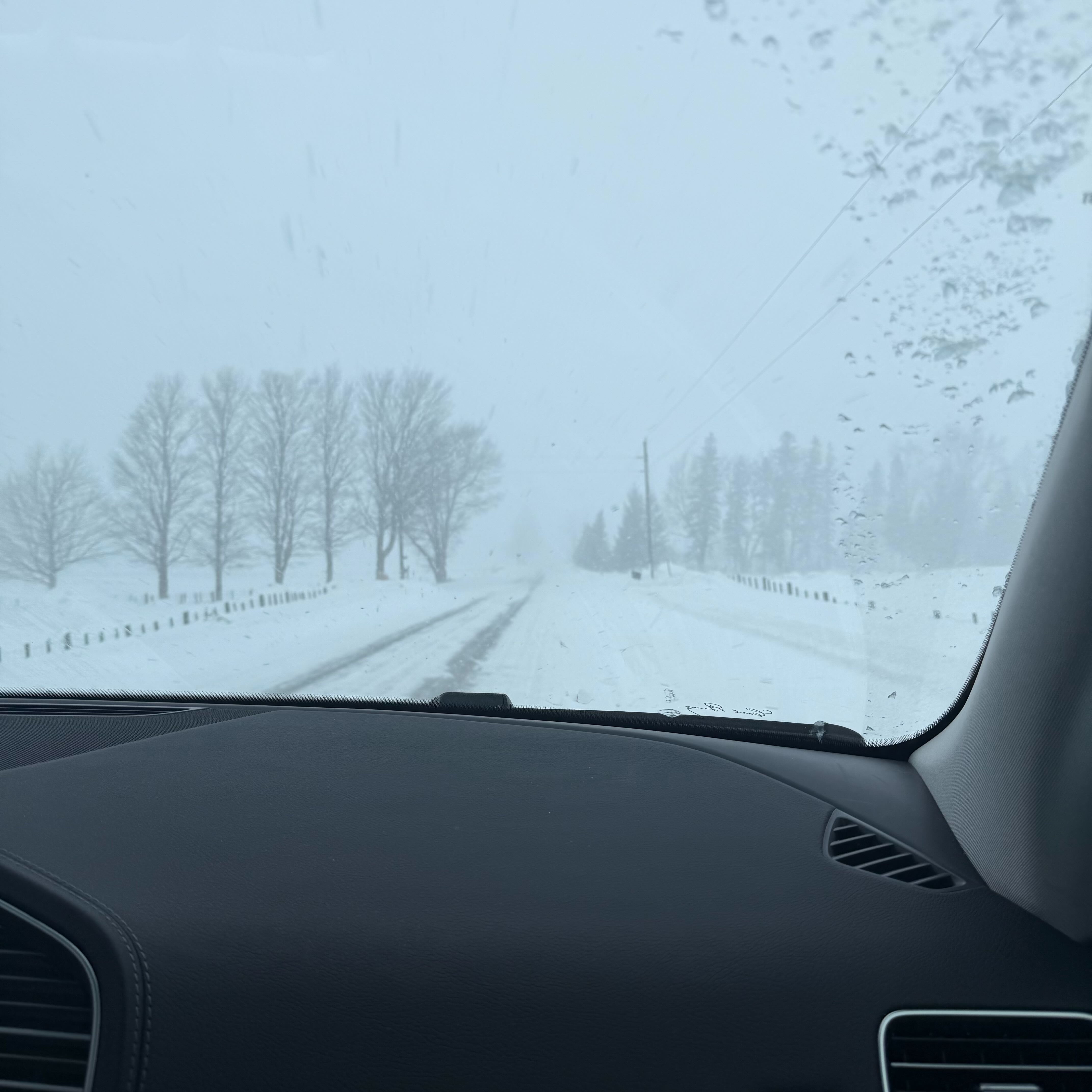View from inside a car driving down a snow-covered rural road, with low visibility, falling snow, and bare trees lining both sides.