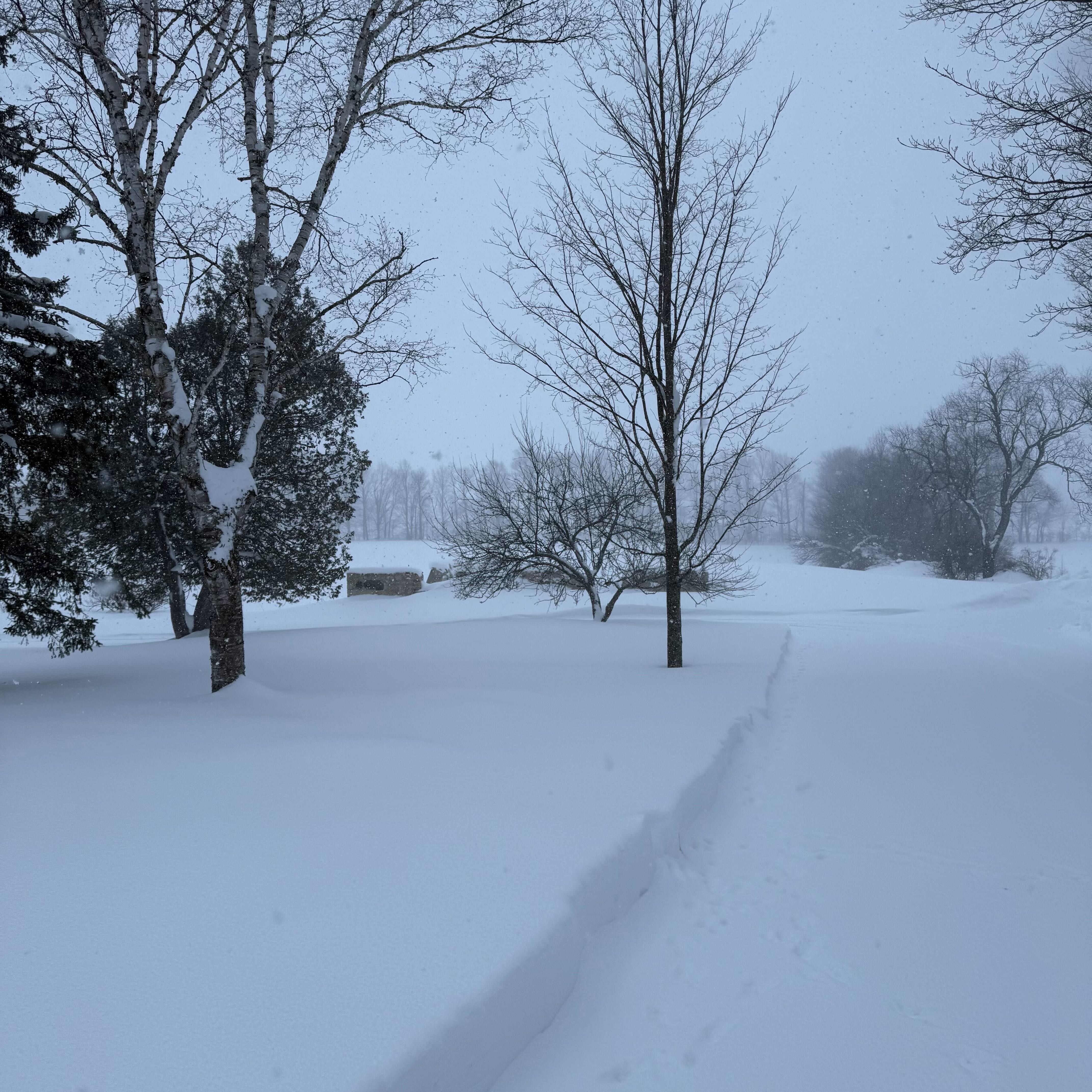 A wide snow-covered field during active snowfall, with bare trees scattered across the landscape and a narrow footpath cut through deep snow.