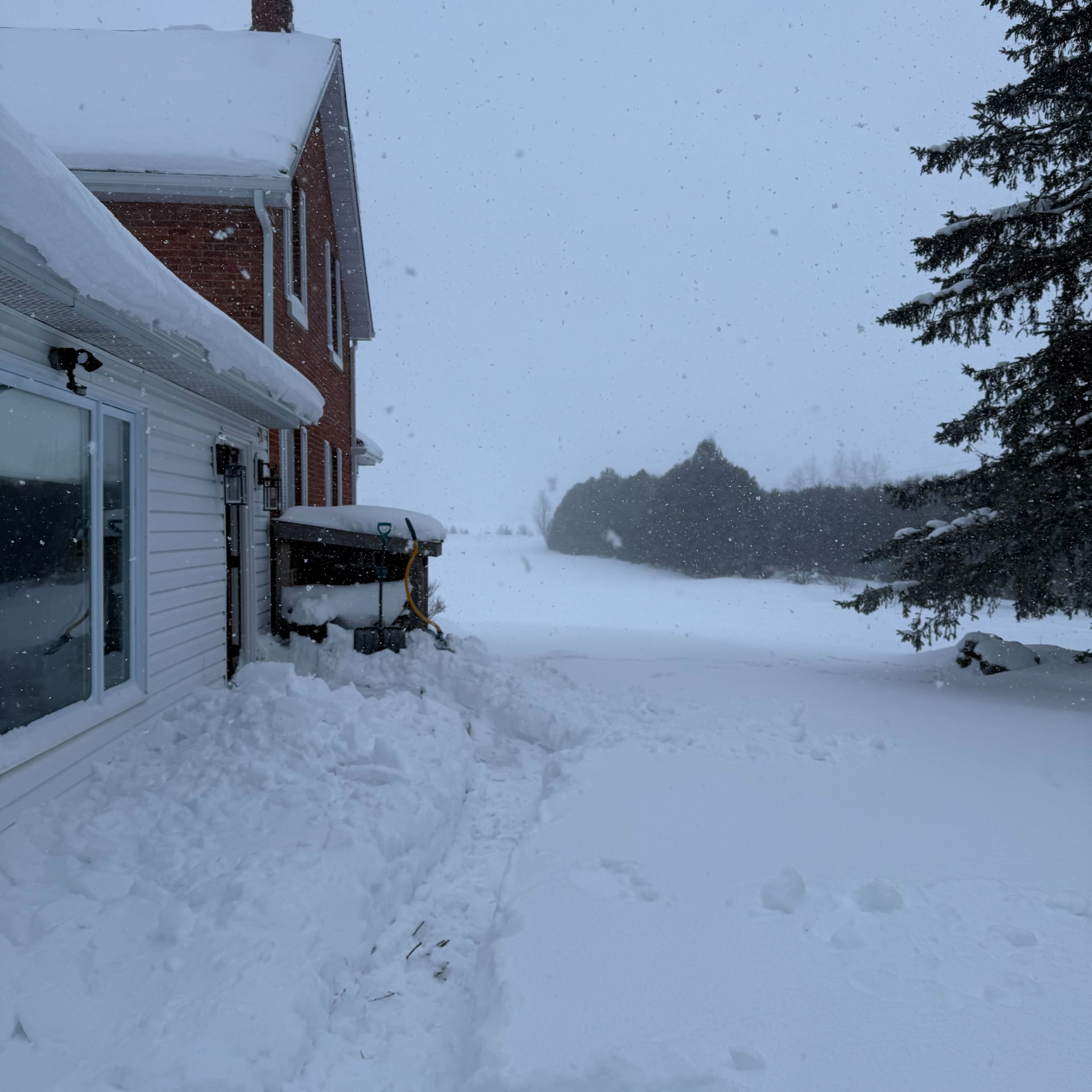 The side of a brick farmhouse during heavy snowfall, with a shoveled path along the wall and deep snowdrifts stretching into an open field.