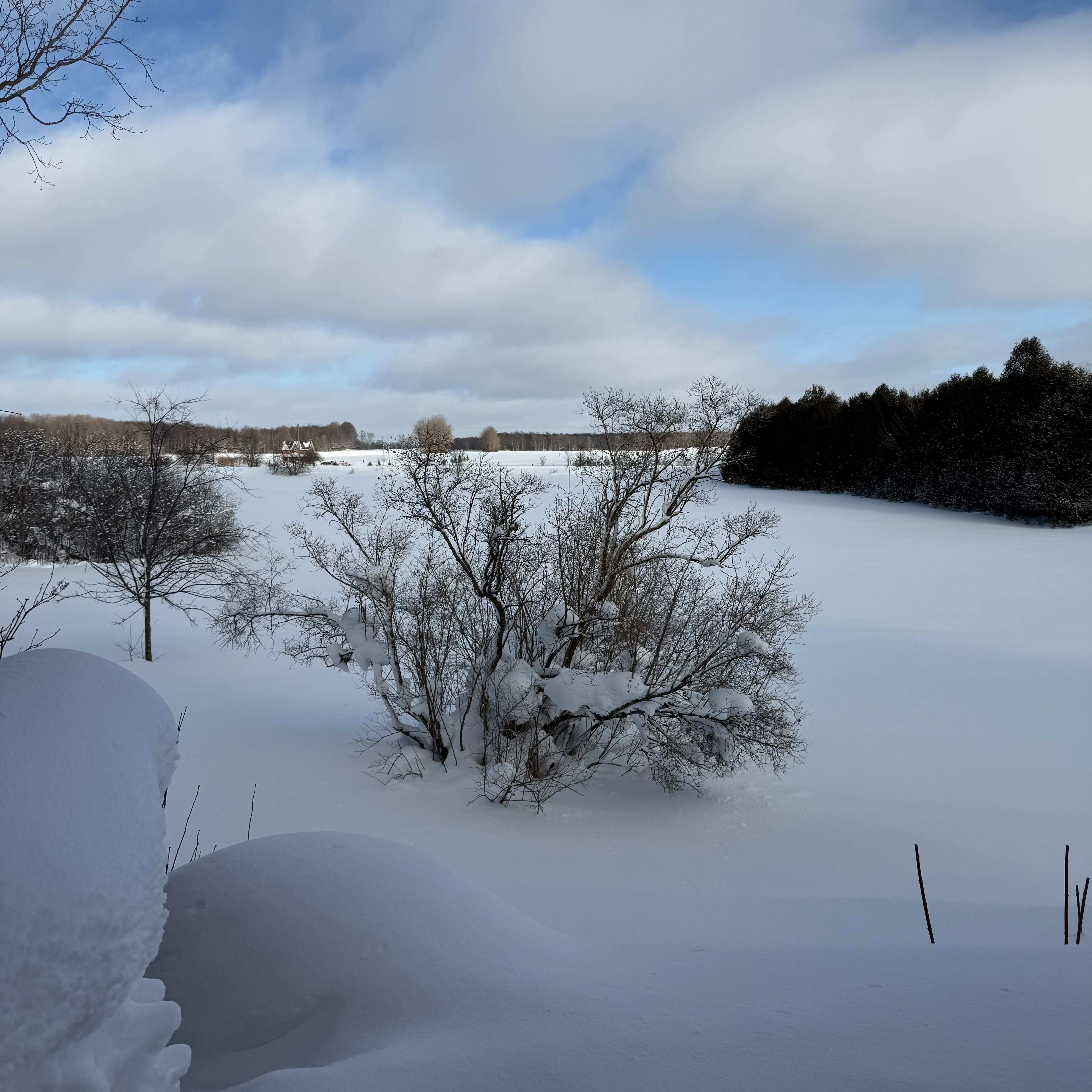 A quiet winter landscape with rolling snow-covered fields, leafless shrubs in the foreground, and patches of blue sky breaking through clouds.