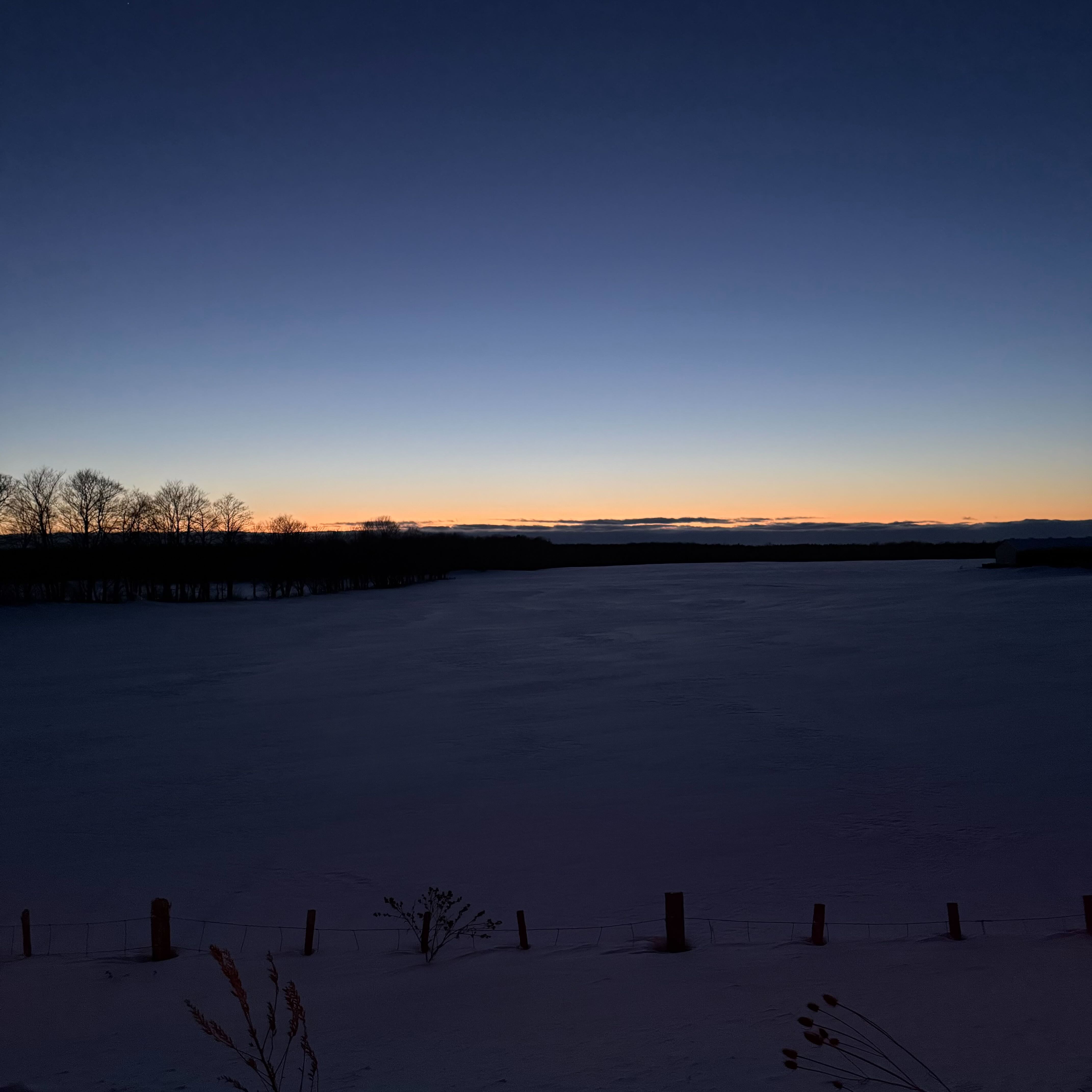 A vast snow-covered field at dusk, with a dark tree line on the horizon and a thin band of orange and pink light beneath a deep blue sky.