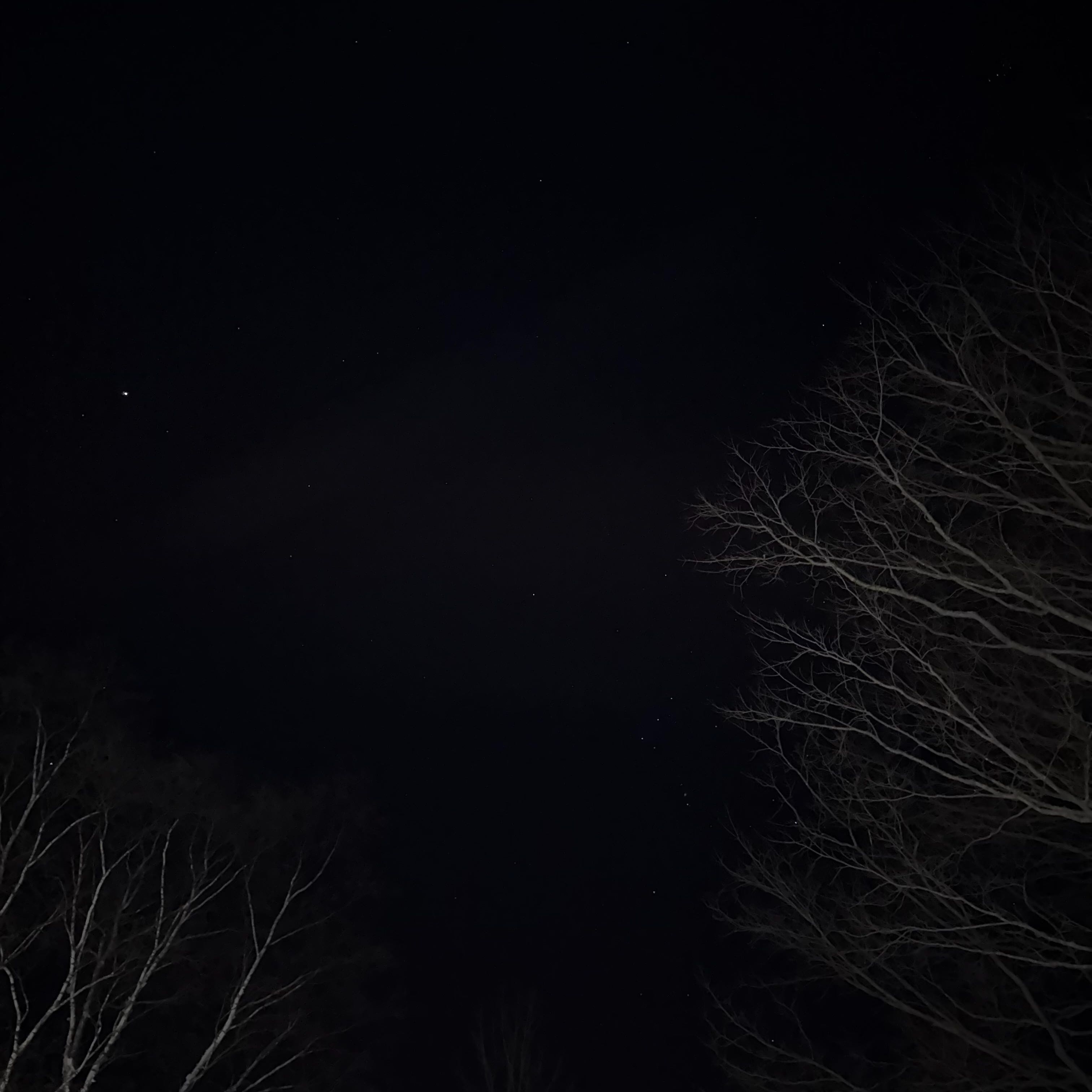 A dark night sky with faint stars visible, framed by the bare branches of trees reaching in from the edges.