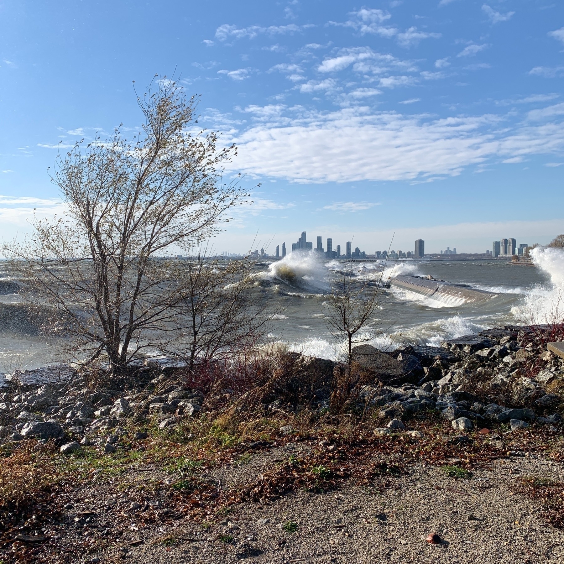 Windswept Lake Ontario from a rocky shoreline. Bare trees and red-stemmed shrubs in the foreground, whitecaps crashing against a low stone breakwater in the middle distance, the Humber Bay condo towers on the horizon under scattered clouds.